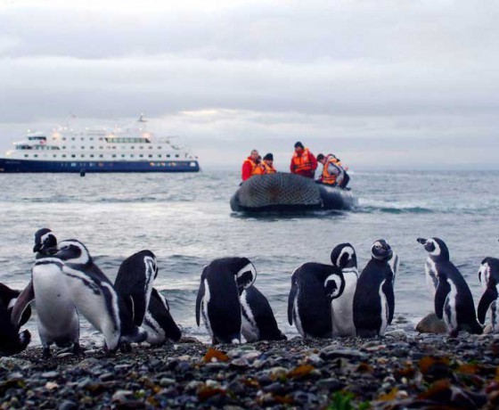 Cruise at Ushuaia and Punta Arenas