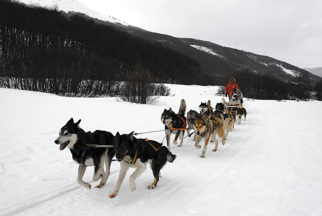 dog-sledding-ushuaia