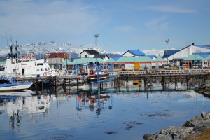 Ushuaia : sud de la patagonie