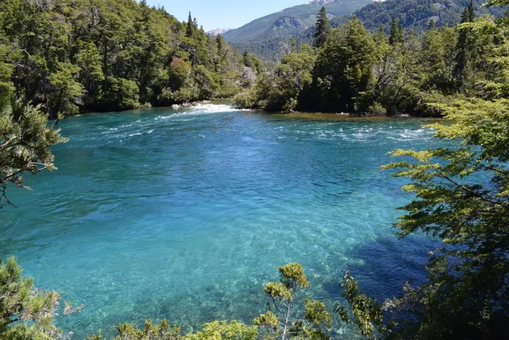 los-alerces-national-park
